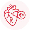 Cardiology (Heart Care)